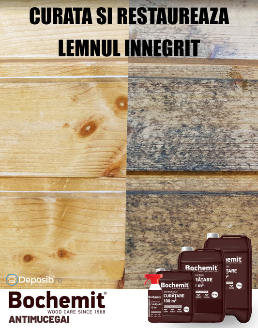 Solutie antimucegai si curatare Bochemit Antimucegai 0.5L