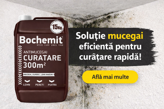 Solutie mucegai – Cum elimini eficient mucegaiul de pe orice suprafata
